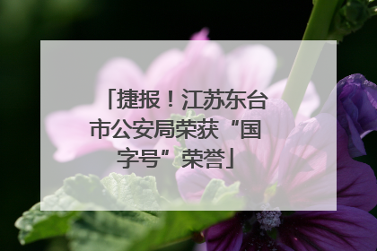 捷报！江苏东台市公安局荣获“国字号”荣誉